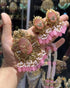 Turkish Mala Set